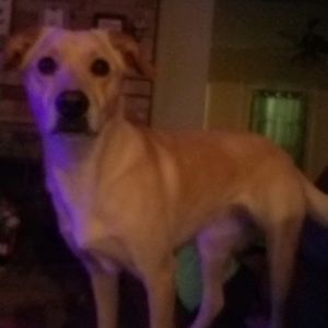 Meet your Posher, Maricela